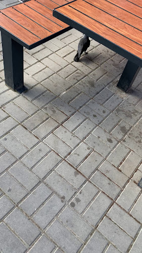 KFC Hradec Králové DT