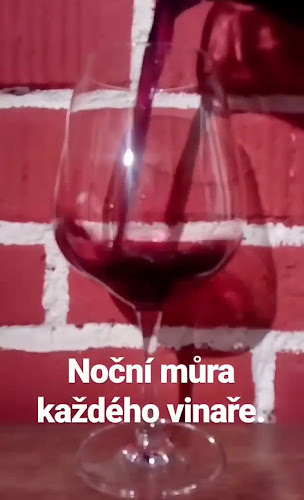 Vinný sklípek VINÁRIUM - Brno