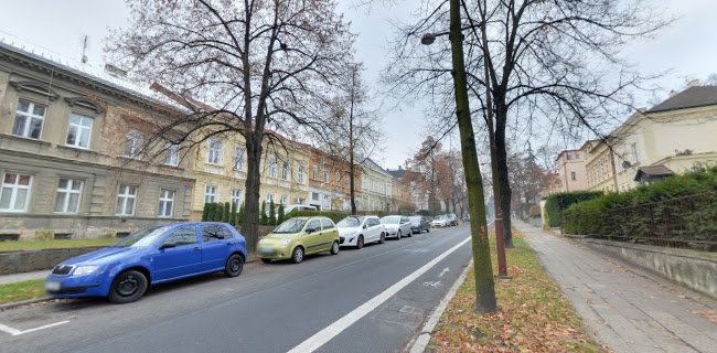 Opinii despre Školní restaurace Vesna - SŠHS a VOŠ Opava în Opava - Gastronomie a pohostinství