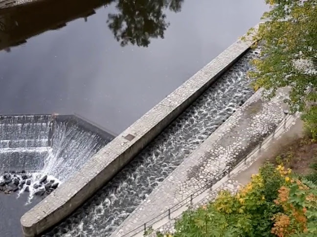 Comentarii opinii despre Fermé