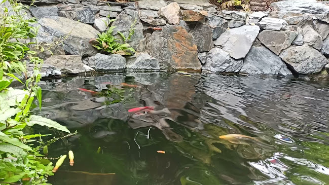 Opinii despre Restaurace U Macků în Olomouc - Gastronomie a pohostinství