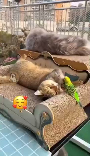 Opinii despre Restaurace Bella în Praha 9 - Gastronomie a pohostinství