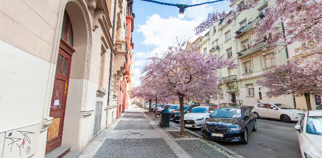 Na Švihance 1, 120 00 Praha 2-Vinohrady