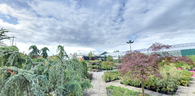 Café Dvořák a syn - Trnovany