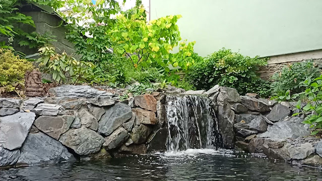 Dvorského 92/32, 779 00 Olomouc 9