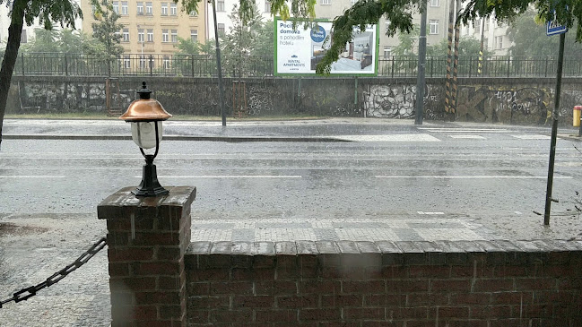 Potrefená husa Albertov - Gastronomie a pohostinství