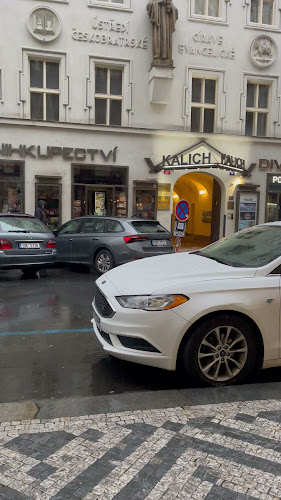 Head Shot Coffee Jungmannova