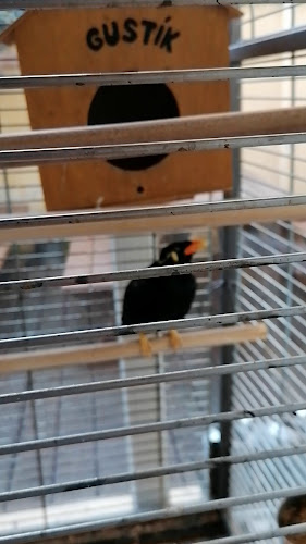 Pivovar Bašta - Praha