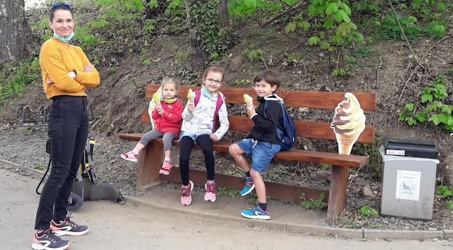 Comentarii opinii despre Zmrzlina