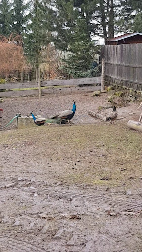 Restaurace Na Špici