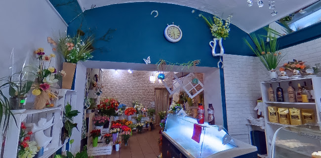 Malé nám. 102, 738 01 Frýdek-Místek 1