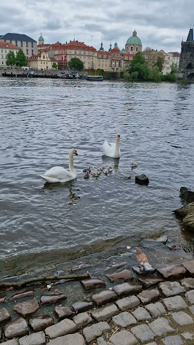 Cihelná 3, 118 00 Malá Strana