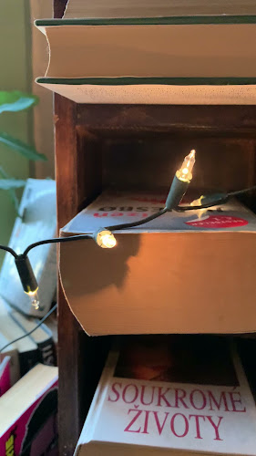 Comentarii opinii despre U nás ve Vršovicích