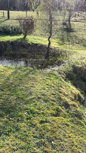 Opinii despre U Čertova mlýna în Karlovy Vary - Gastronomie a pohostinství