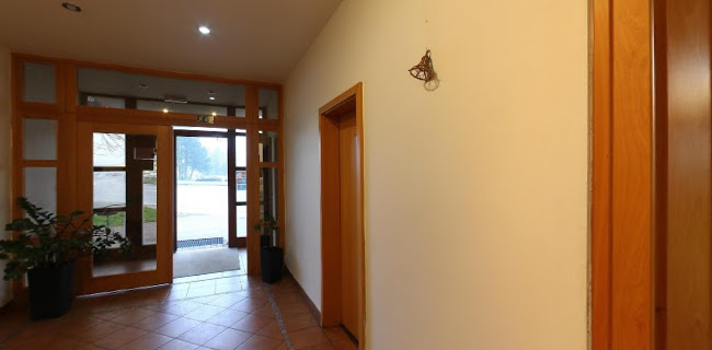 Pizzeria Max - Gastronomie a pohostinství