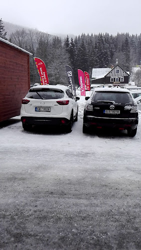 Restaurace David - Harrachov