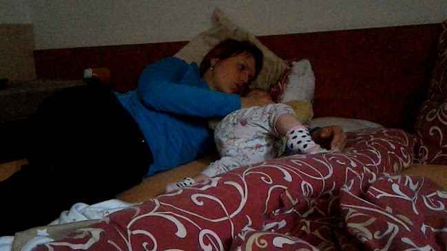 Hotel restaurant Švejk