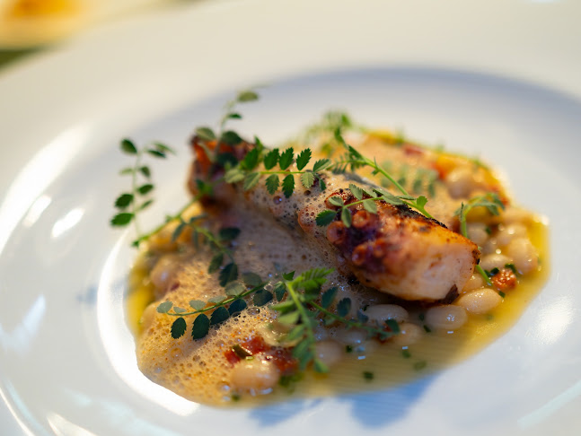 Jacob's Little Italy