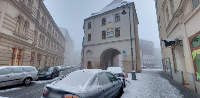 Opinii despre Rybena Orlí în Brno - Gastronomie a pohostinství