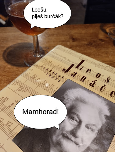 Starobrněnská 286/13, 602 00 Brno-střed