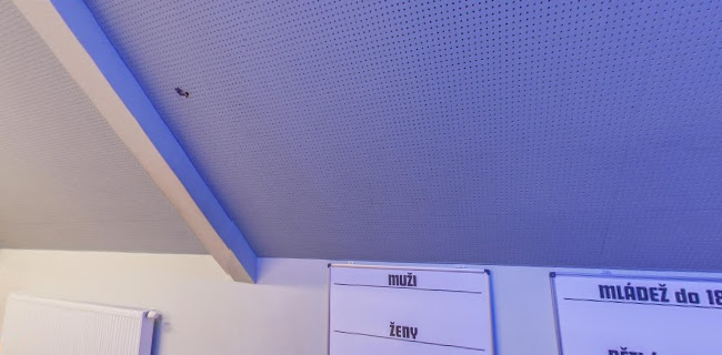 Opatov 368, 569 12 Opatov