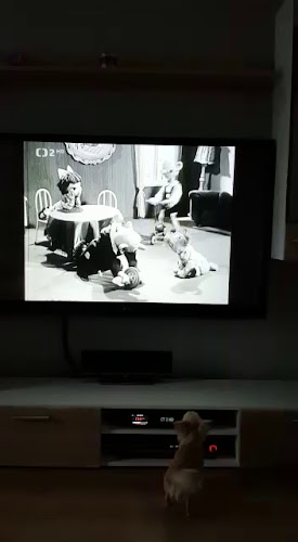 Restaurace Rozhled - Teplice