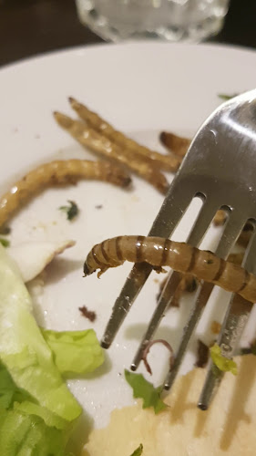 Opinii despre Restaurace Klub cestovatelů în Brno - Gastronomie a pohostinství