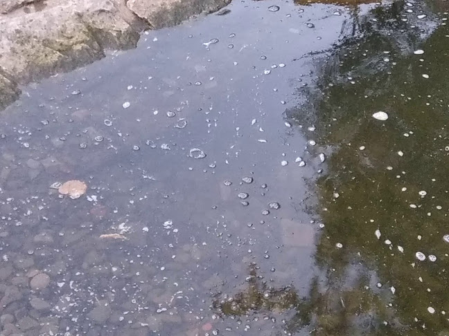 Šenk U splavu - Gastronomie a pohostinství