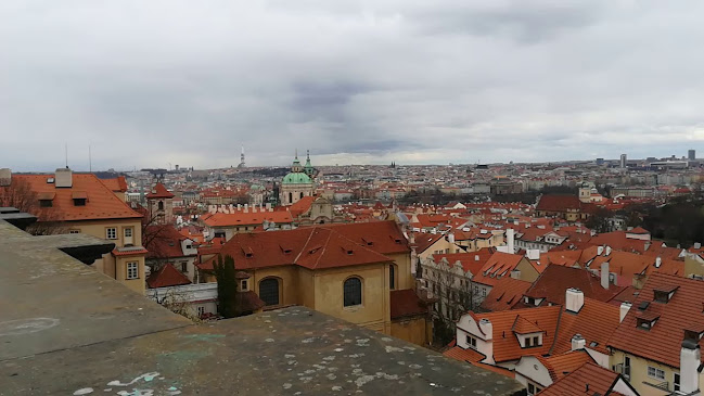 Vinohradská 1897/141, 130 00 Praha 3-Žižkov