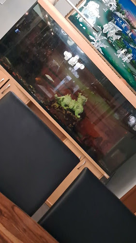 Zlatý drak - Gastronomie a pohostinství