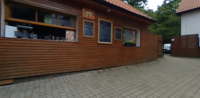 Restaurace U krále Václava IV. - Gastronomie a pohostinství