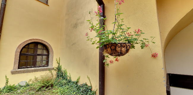 Opinii despre Vegetariánská restaurace în Kroměříž - Gastronomie a pohostinství