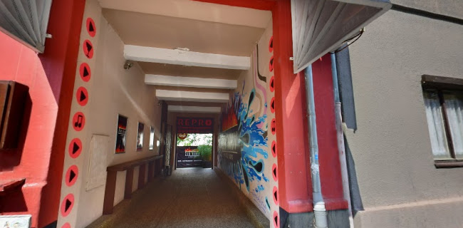 Comentarii opinii despre Žebírkov