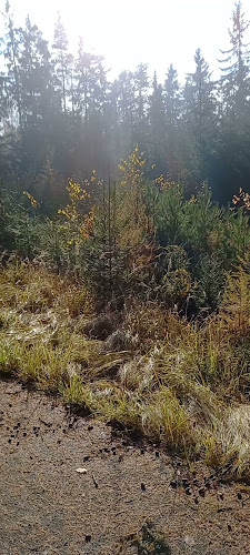 Comentarii opinii despre Restaurace U draka