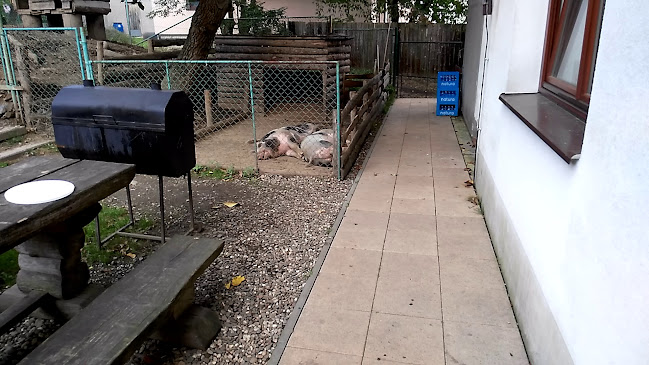 Opinii despre JINE KAFE - Cannabís Social Club în Ostrava - Gastronomie a pohostinství