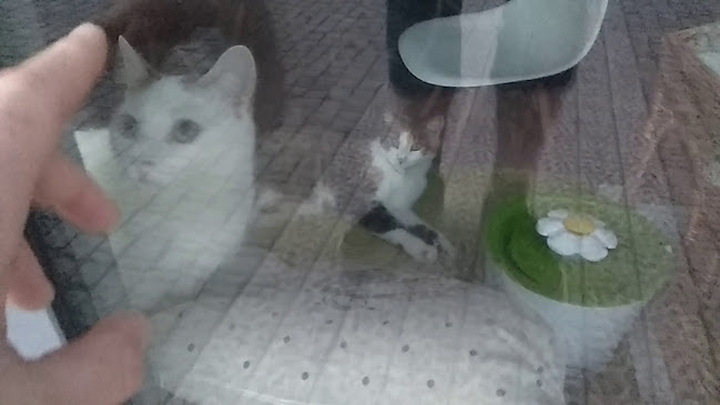 Strouha - coffee&wine&spirits - Gastronomie a pohostinství