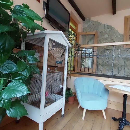 Restaurace Koníček