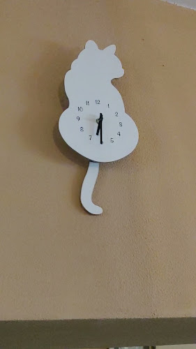 Kočičí kavárenský klub - Ivančice