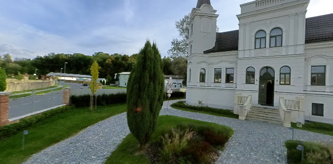 Slivovina - Gastronomie a pohostinství