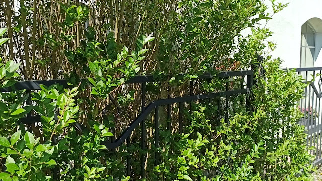 Prostě Bistro s.r.o.