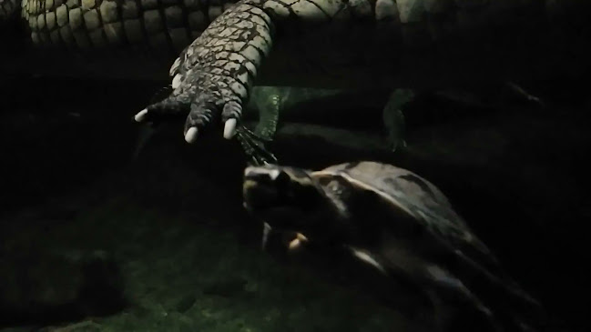 Restaurace Svatá Klára - Praha 7