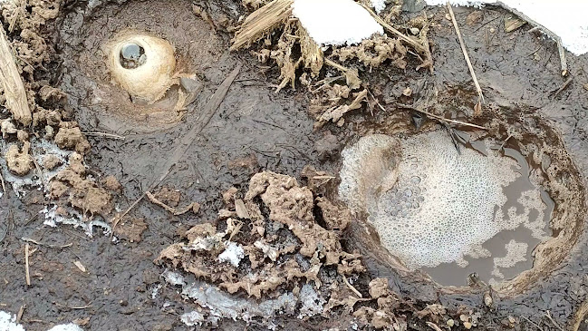 Restaurace / Penzion - Selský dvůr - Karlovy Vary