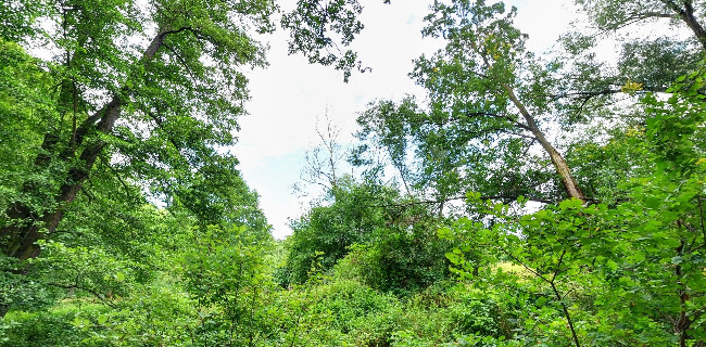 Comentarii opinii despre Restaurace Na tý louce zelený