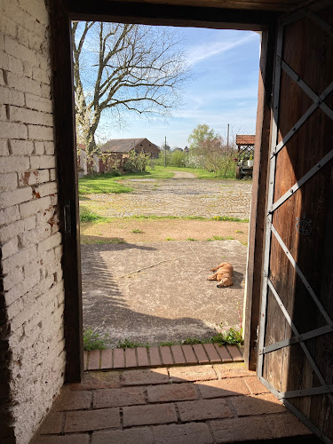 Comentarii opinii despre Palasio - Pražírna kávy & galerie