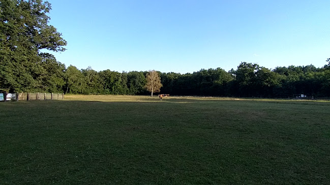 Opinii despre Lovecká chata în Olomouc - Gastronomie a pohostinství