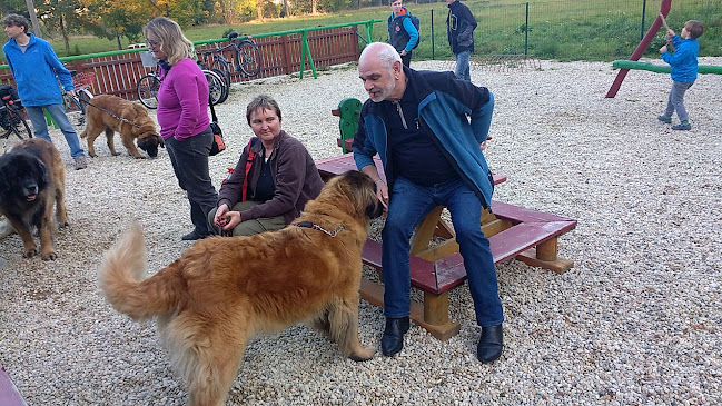 Restaurace Zatáčka - Gastronomie a pohostinství