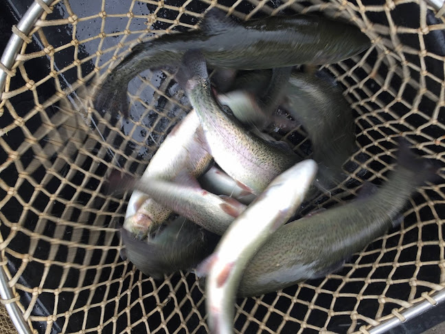 Šumvald 364, 783 85 Šumvald