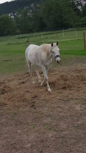 K Lázním, 153 00 Praha 16