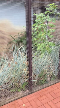 Restaurant Lemur - Dvůr Králové nad Labem