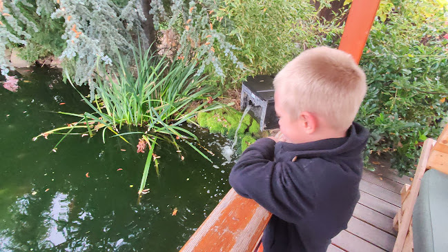 Stanová 1998, 415 01 Teplice 1-Trnovany